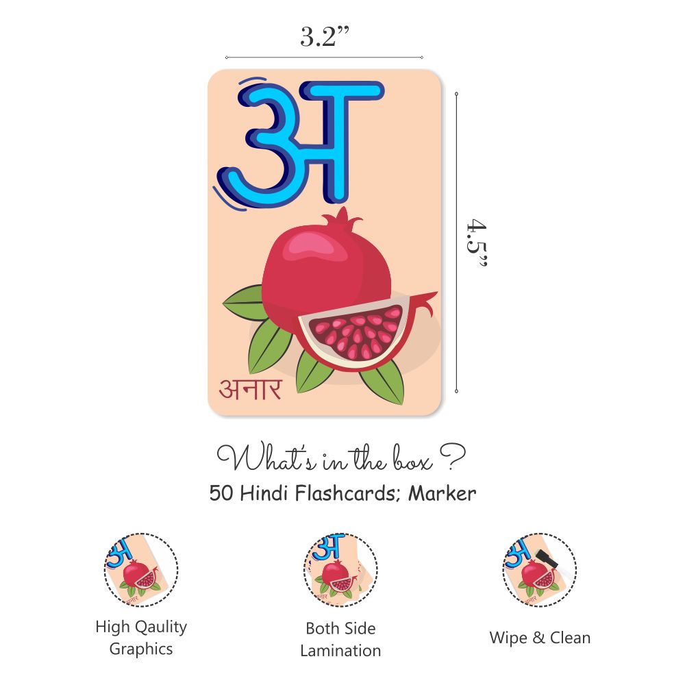 ZOOPLAY Hindi Flashcards with Activity