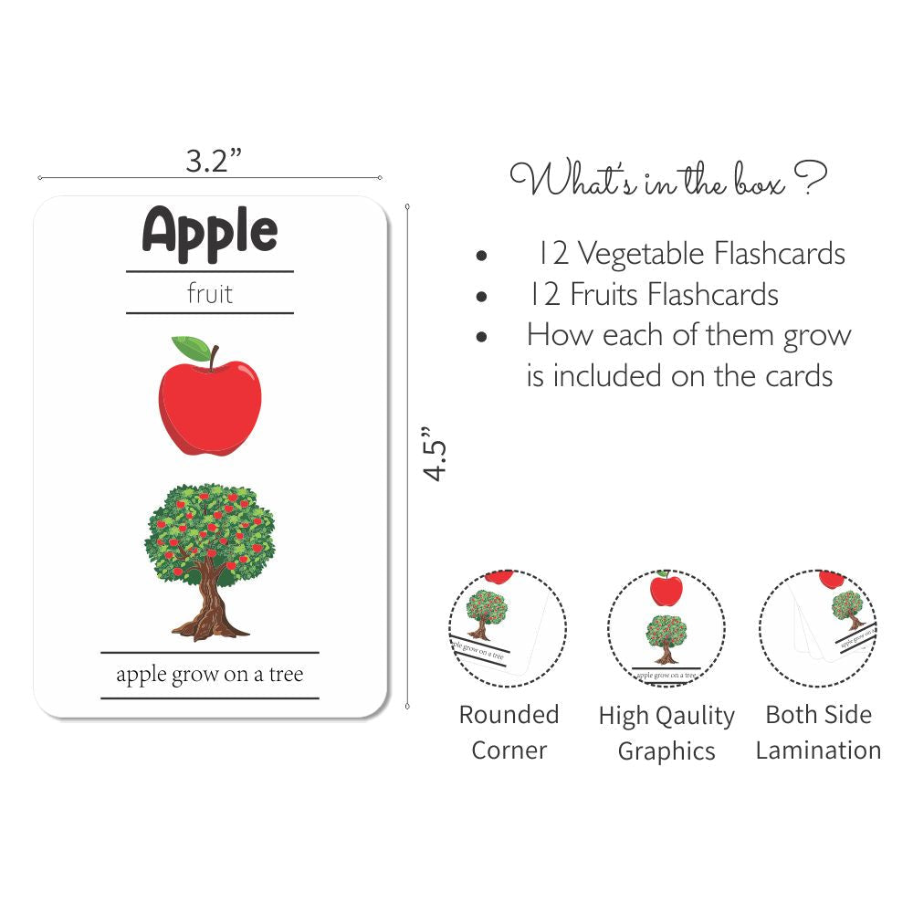 ZOOPLAY Fruits and Vegetables Flashcards