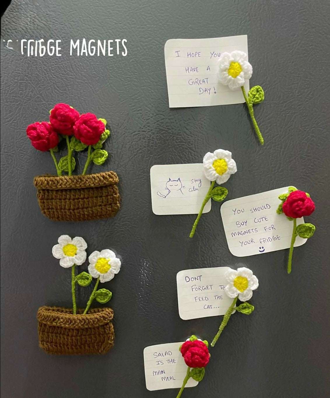 Fridge magnets shaped like flowers and pots