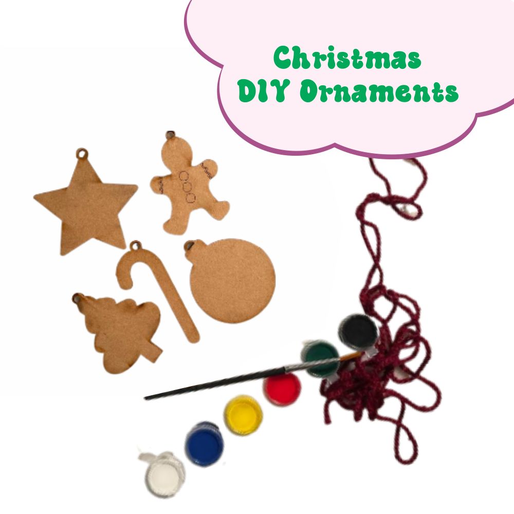 ZOOPLAY Christmas Box of joy ( 6 in 1)