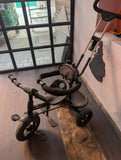 R FOR RABBIT Tiny Toes R40 Ace Tricycle For Kids