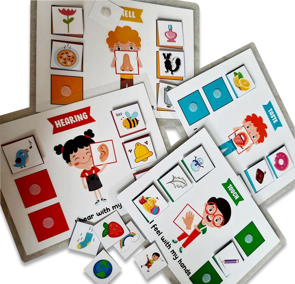 ZOOPLAY 5 Senses Sorting Activity Games