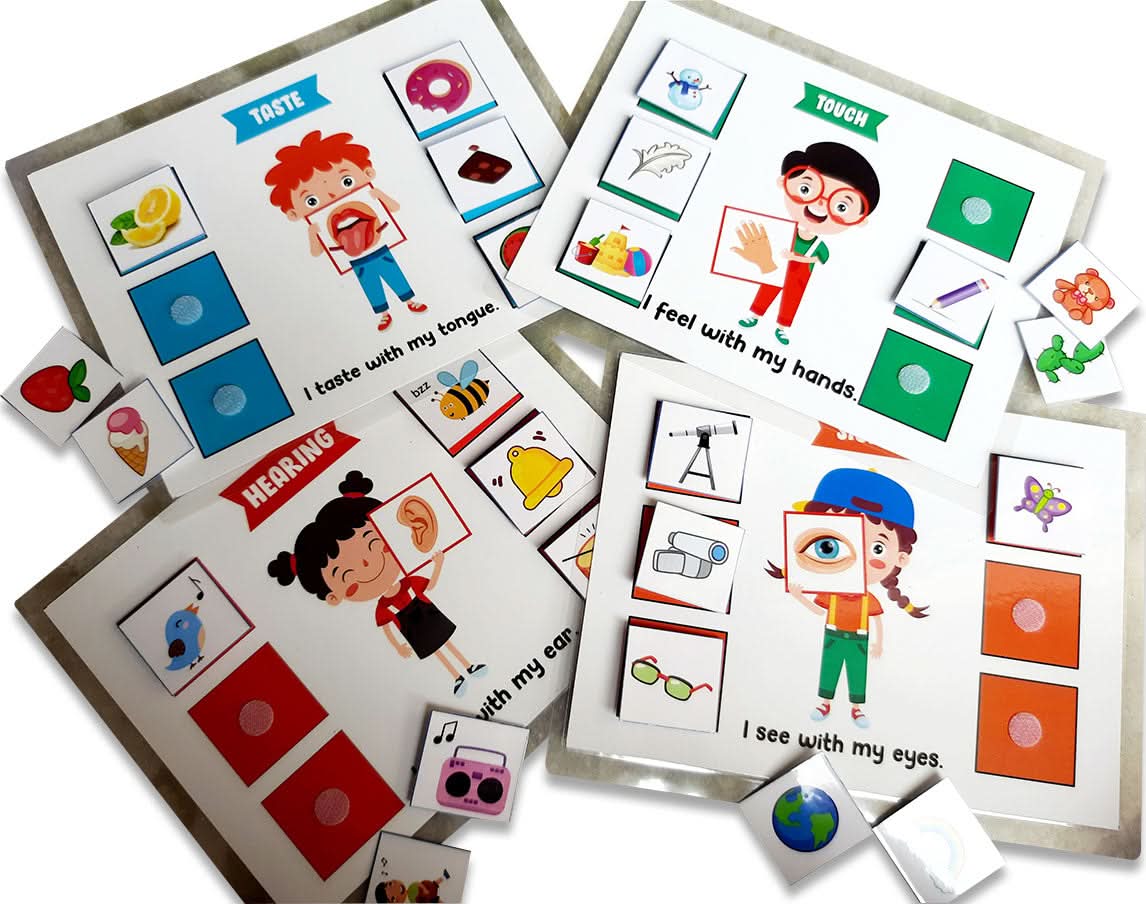 ZOOPLAY 5 Senses Sorting Activity Games