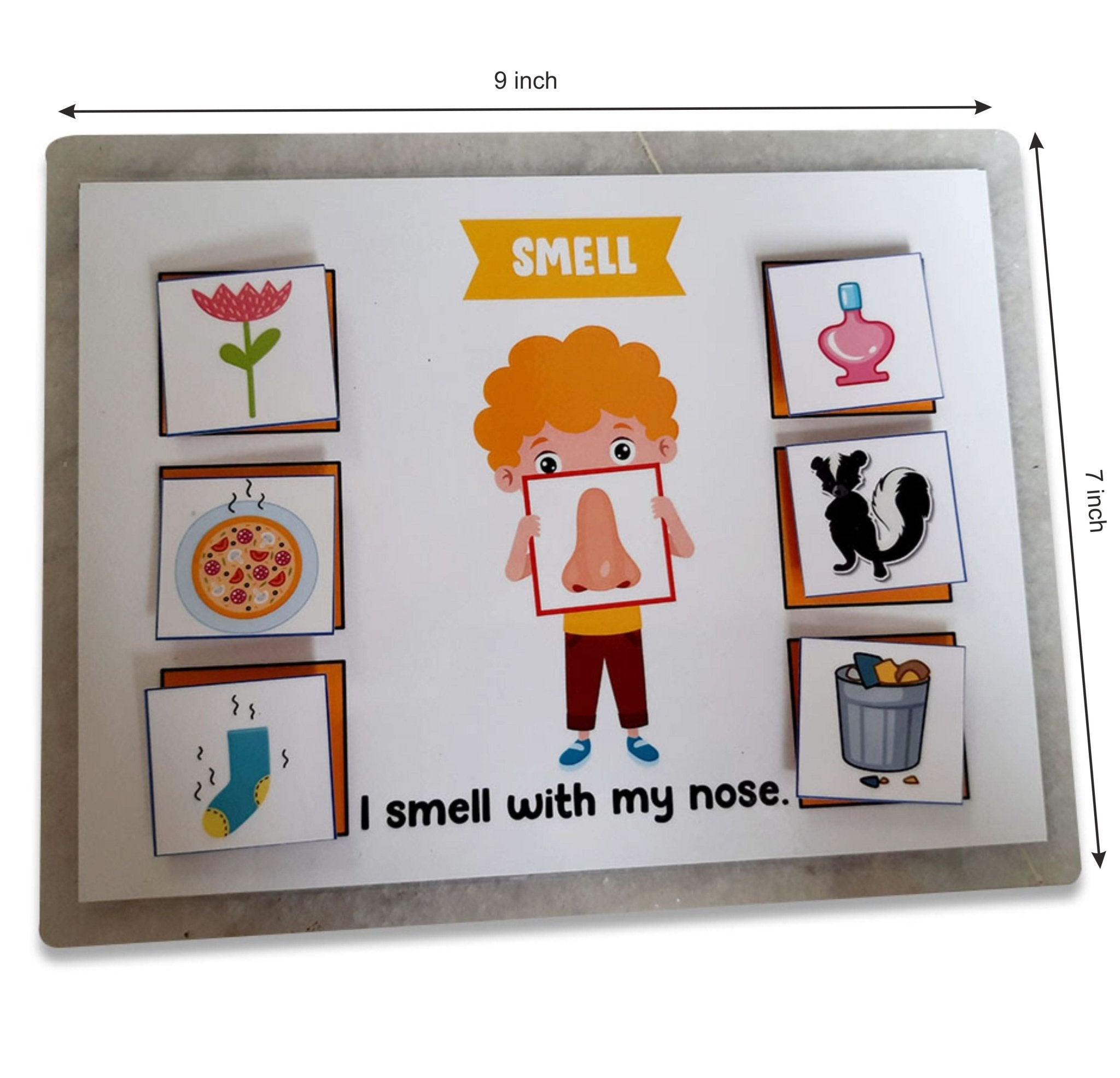 ZOOPLAY 5 Senses Sorting Activity Games