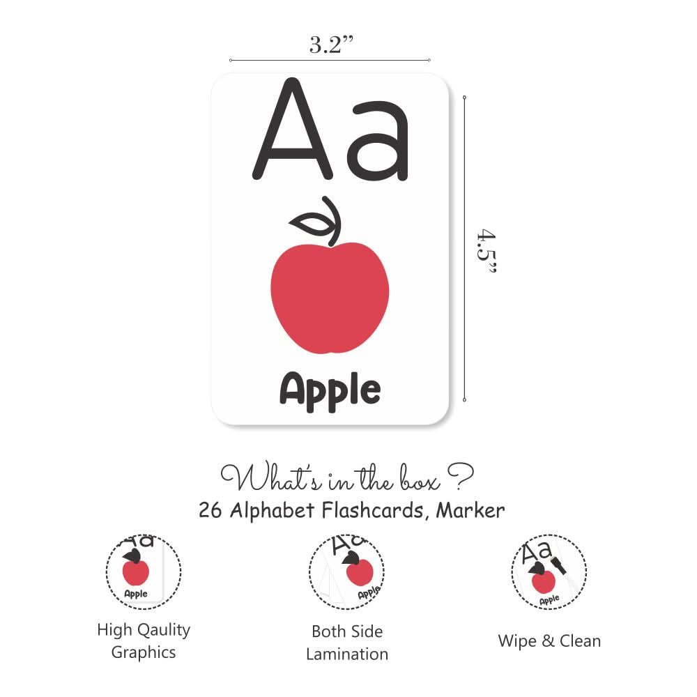 ZOOPLAY Alphabet Flashcards with Activity