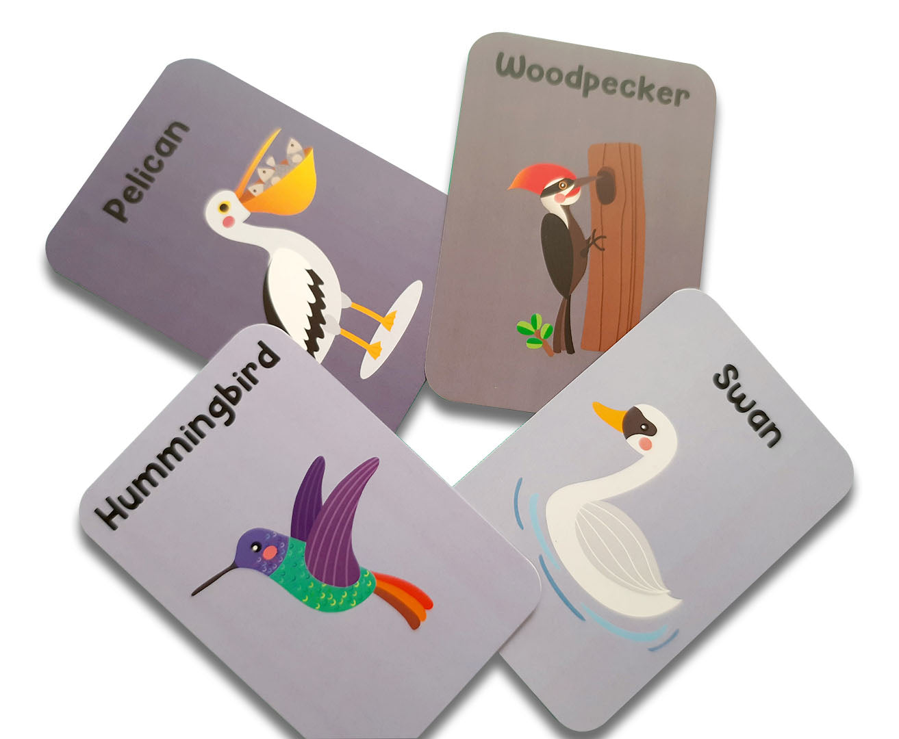 ZOOPLAY Birds Flash Cards for Kids