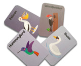 ZOOPLAY Birds Flash Cards for Kids