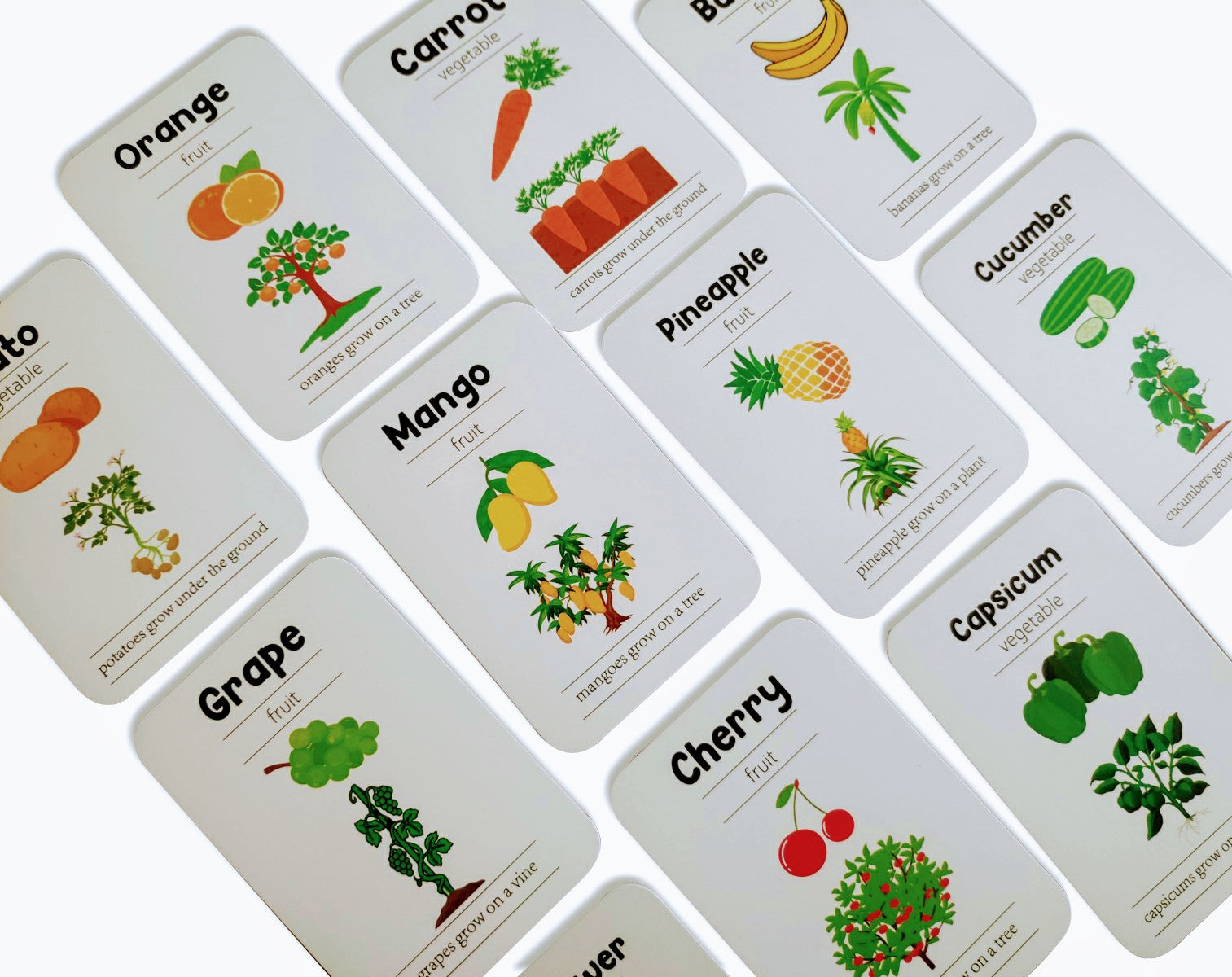 ZOOPLAY Fruits and Vegetables Flashcards