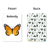 ZOOPLAY Insect Flash Cards- Pack of 24