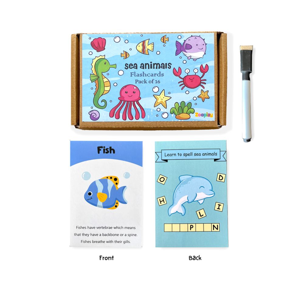 ZOOPLAY Sea Animals Flashcards
