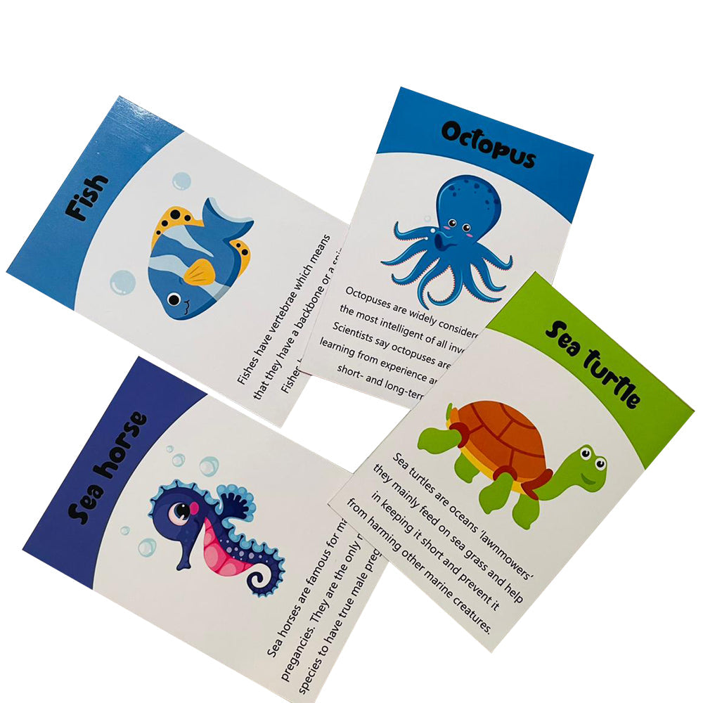 ZOOPLAY Sea Animals Flashcards