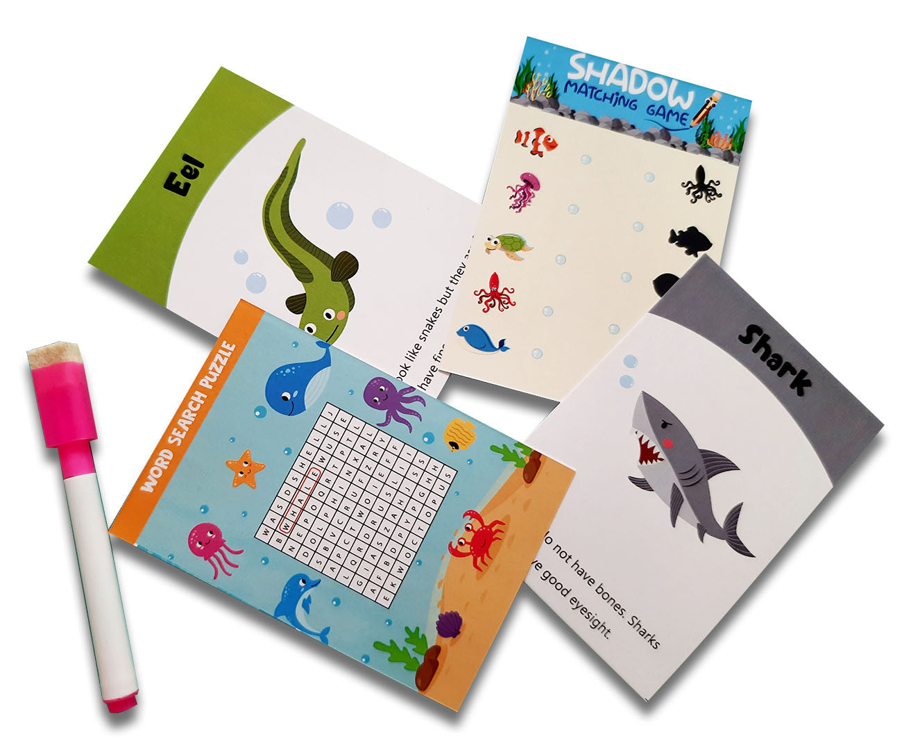 ZOOPLAY Sea Animals Flashcards
