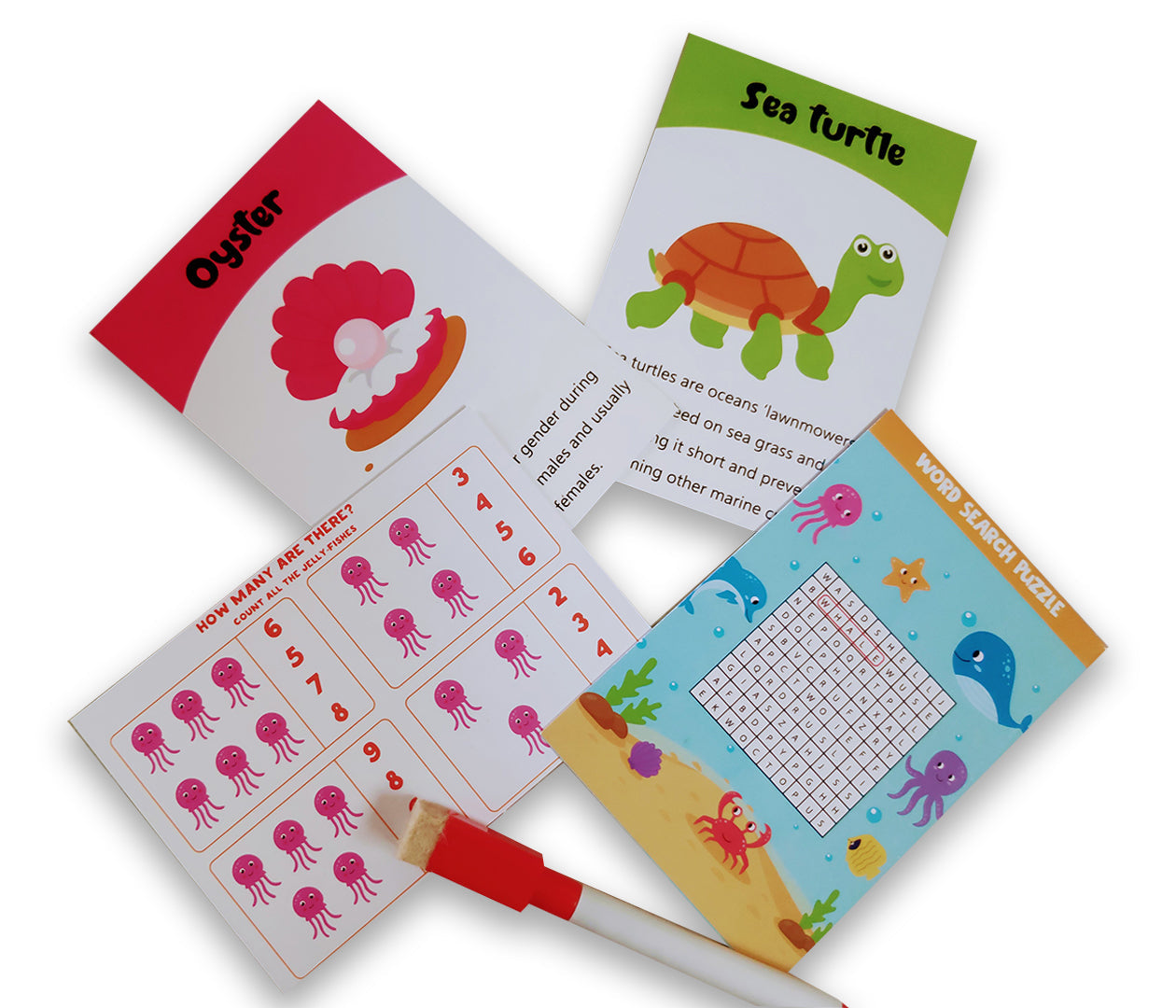 ZOOPLAY Sea Animals Flashcards