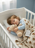 Baby blanket with toy pack of 2