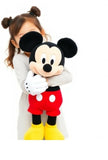 Mickey Mouse And Minnie Mouse Teddy Bear