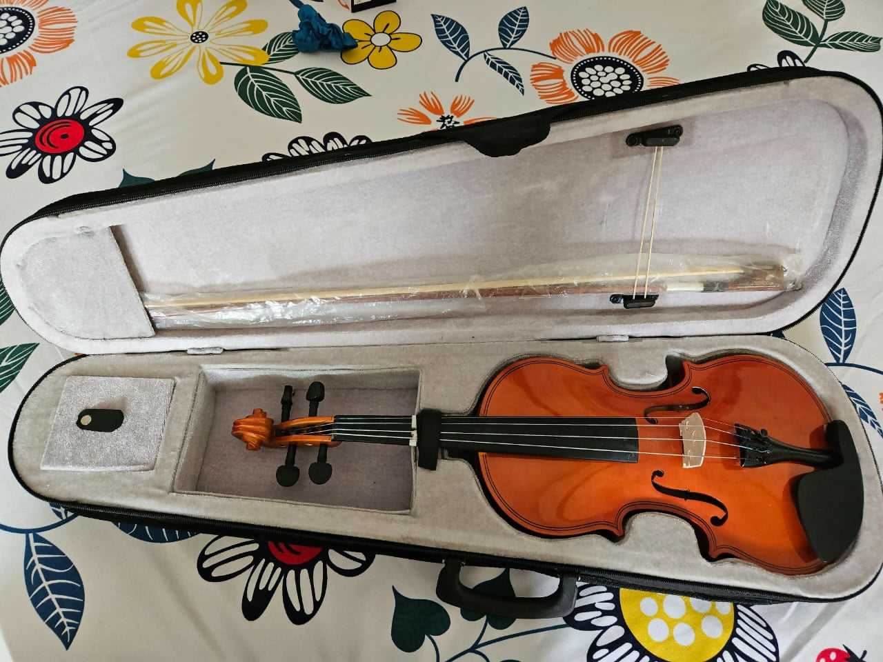 Discover the joy of music with the Kaps Violin, designed for beginners and complete with a protective case for safe and easy transport!
