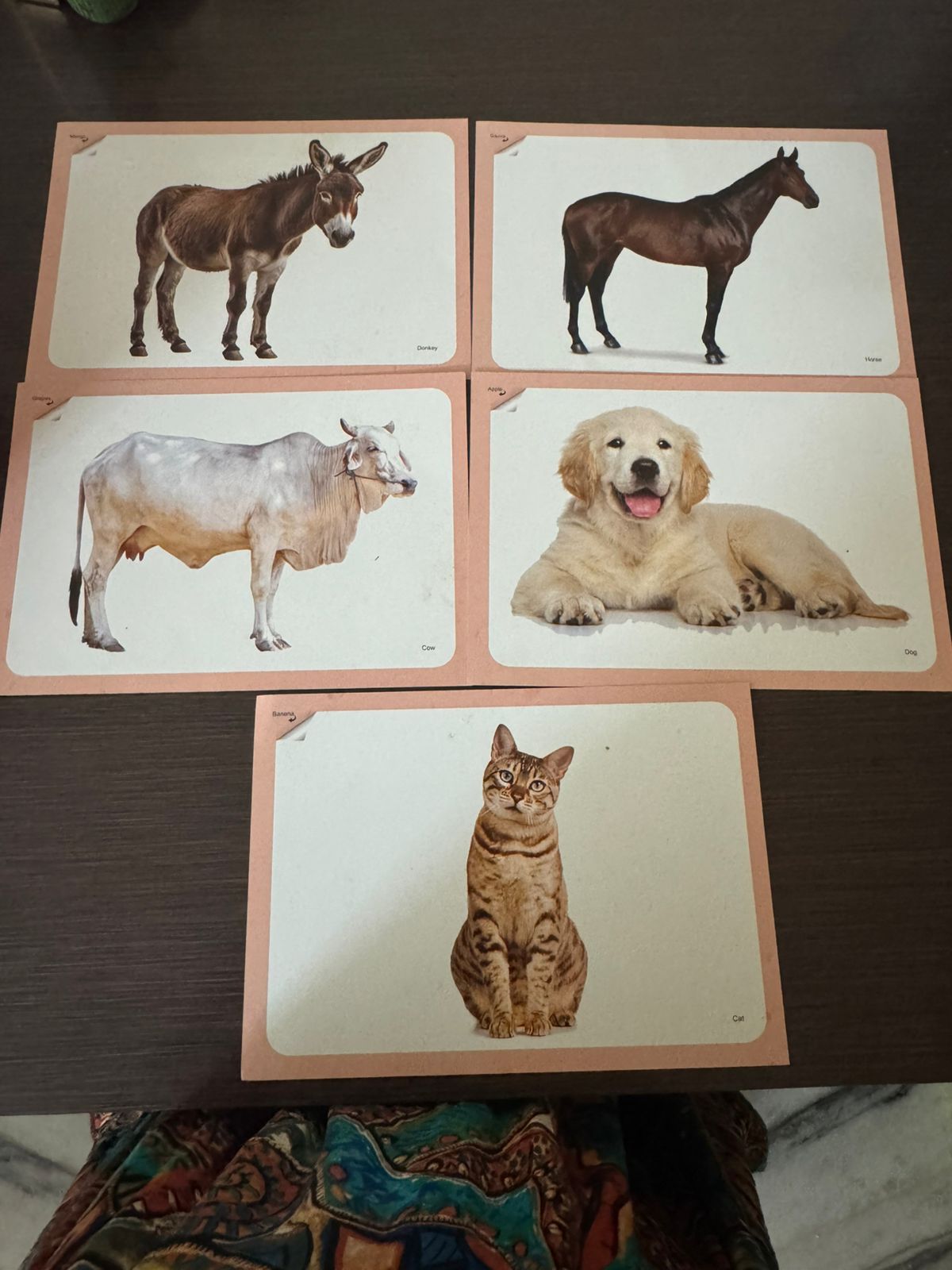 Early Learning Flashcards & Spiral Book Set