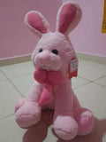 Goldy Bunnies Soft Toys Combo Set of 2