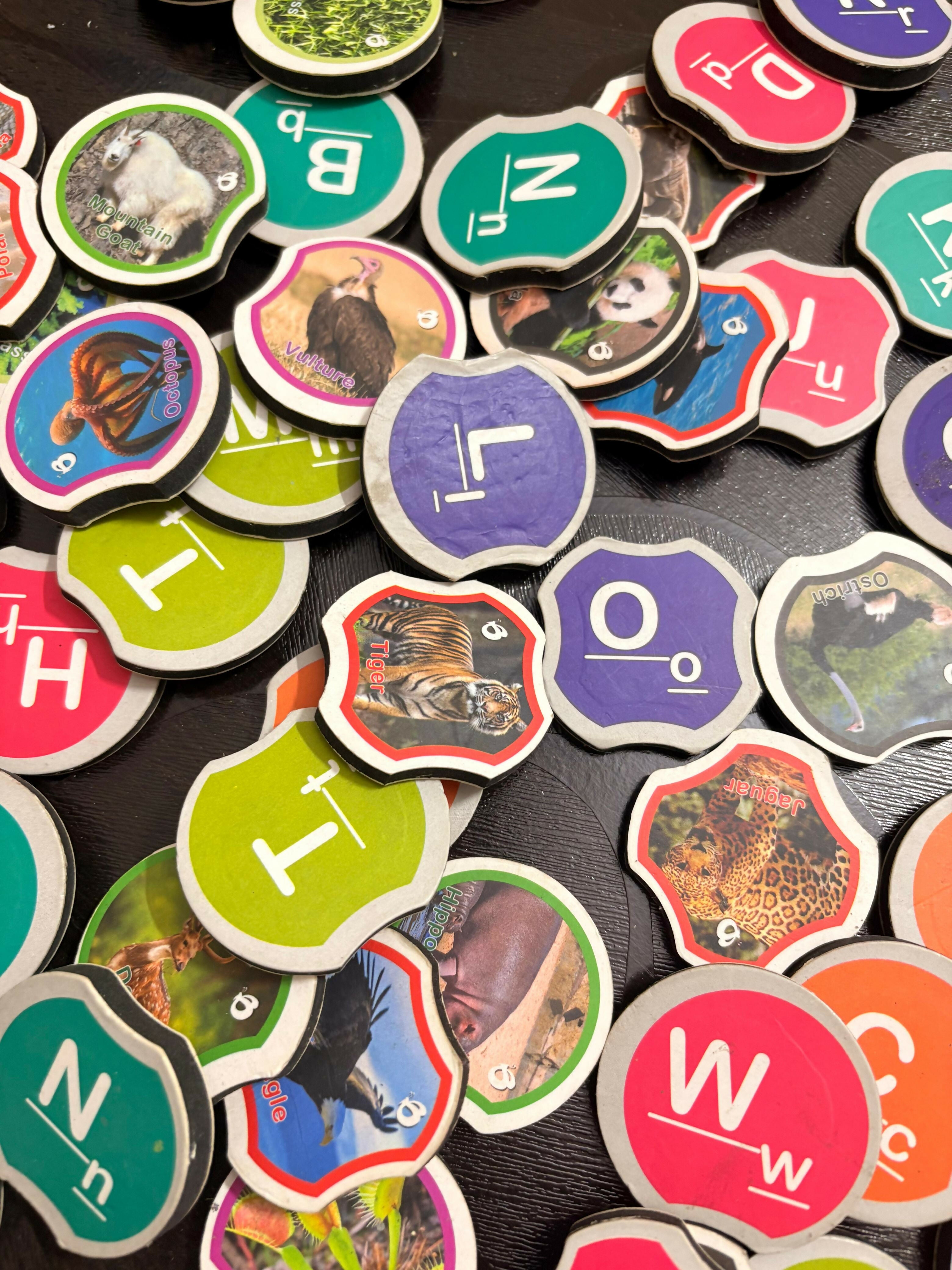 WhatsApp Image 2025-08-27 at 16.28.06