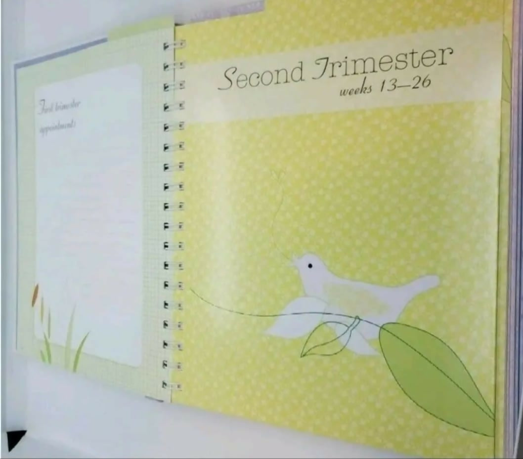 A beautifully designed keepsake journal to document every moment of your pregnancy journey, from the first positive test to the day you meet your baby