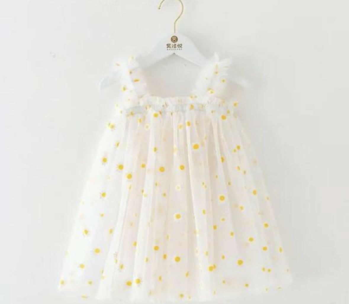 IMG_2969