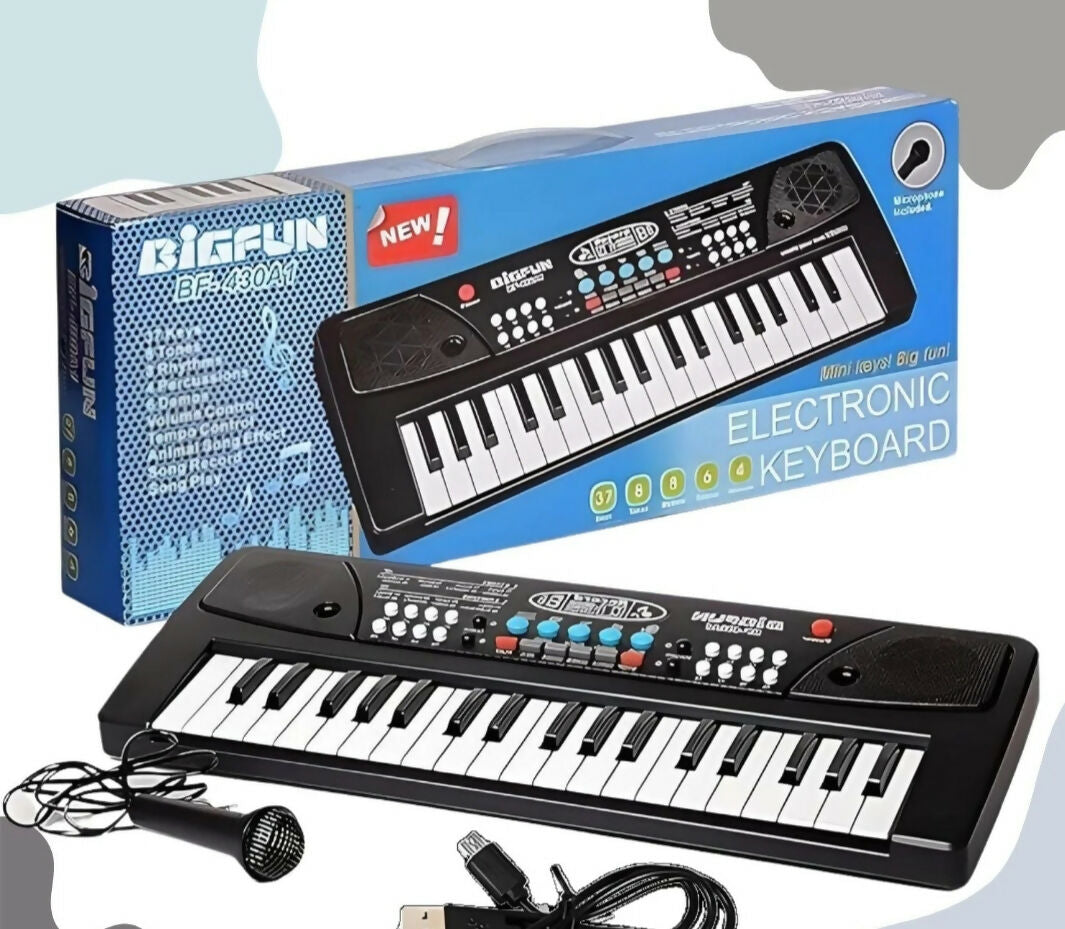 Tortoise keyboard piano