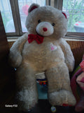 Teddy Bear Soft Toy