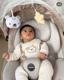 INFANTSO Sleep Ease Baby Automatic Swing