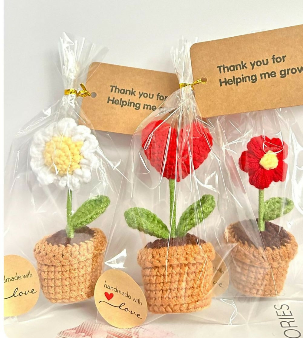 Crochet flower pots – handmade, colorful, and perfect for adding charm to your home or workspace.