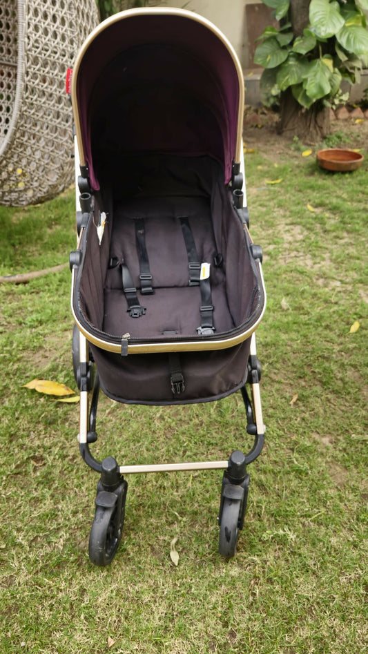 Buy FISHER-PRICE Hiker Luxury Stroller Cum Pram – Multi-Position Recline, Safety Harness, Compact Fold