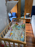 Baby hug cot cum rocker+ mattress