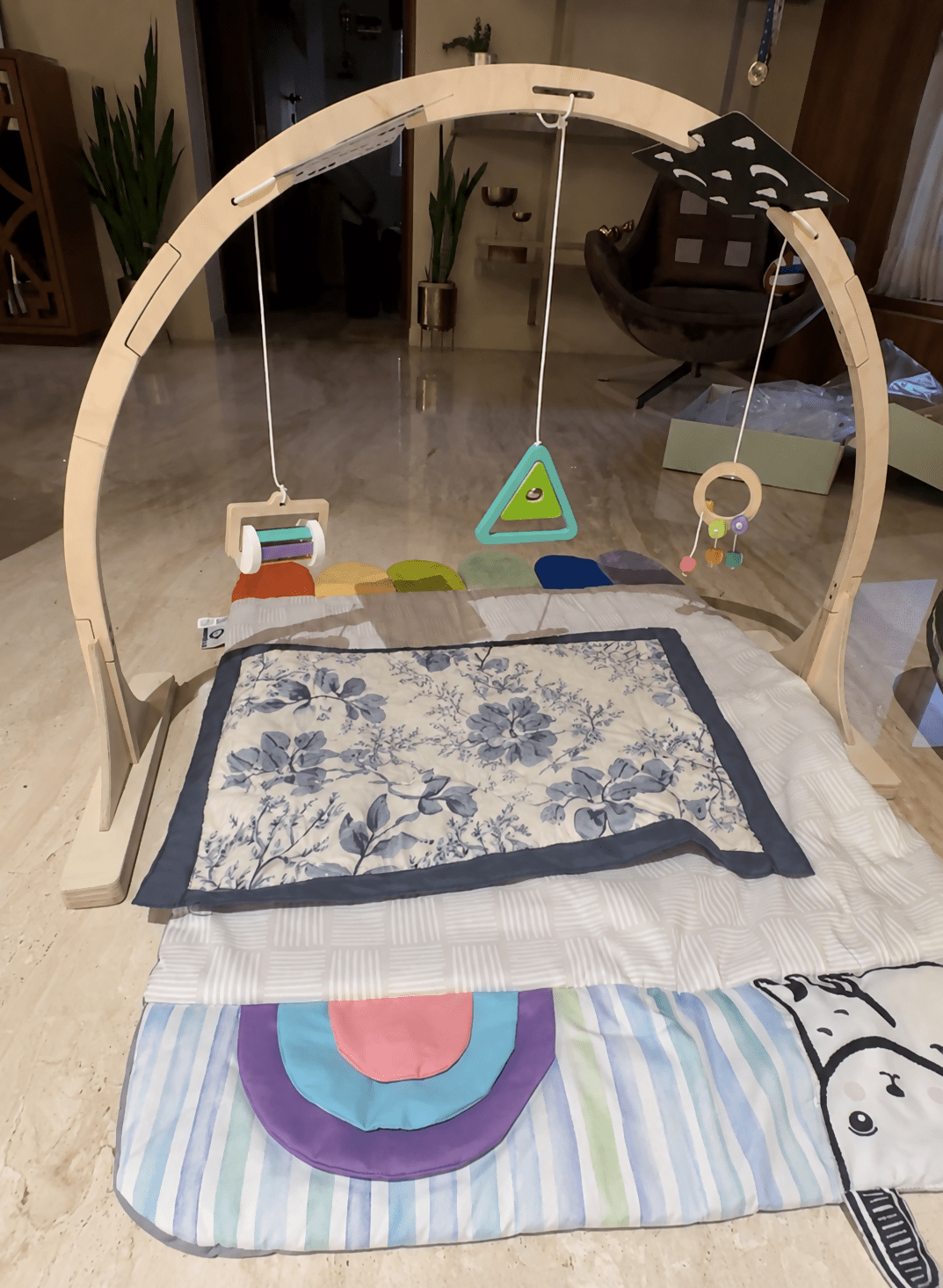 Curious cuCurious cub play gymb play gym