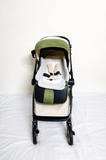 Tianrui Compact Travel Baby Stroller Foldable Reclining Pram B108