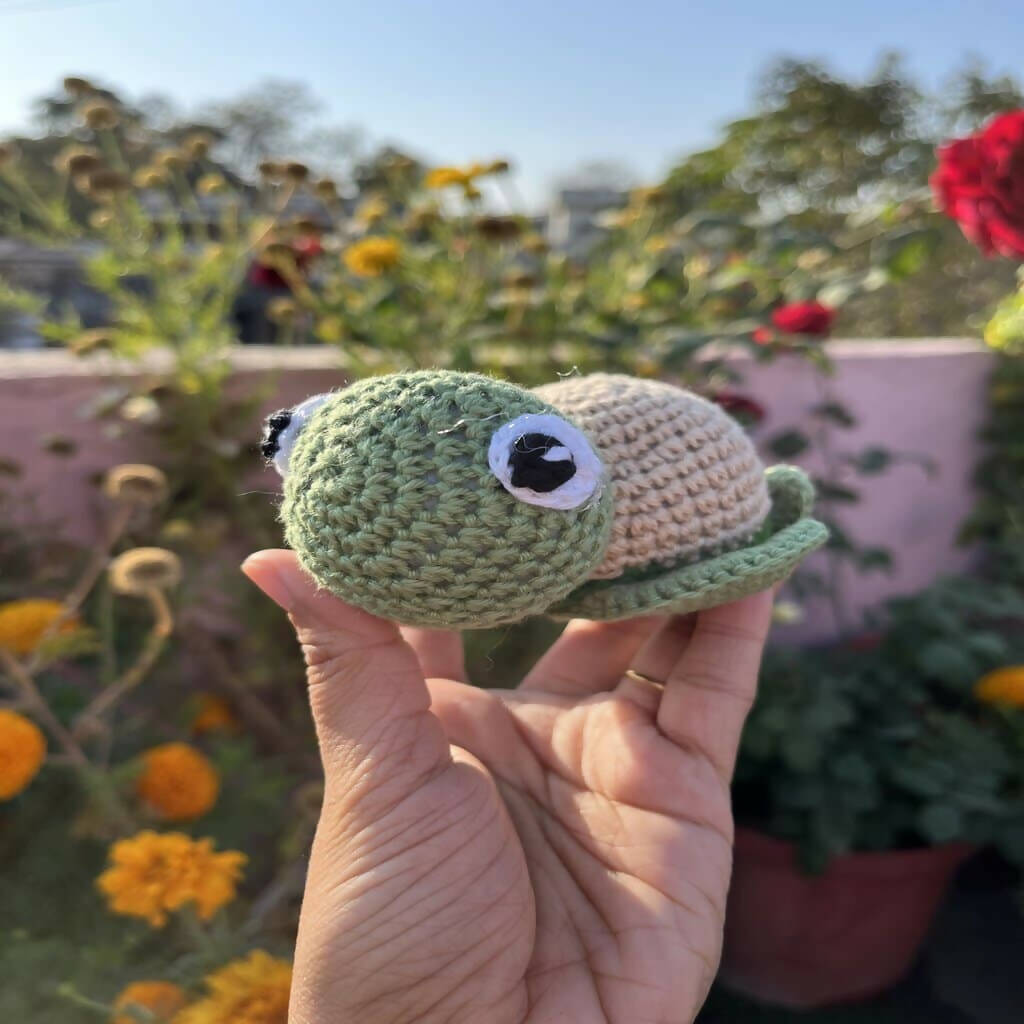 Mini Turtle - PyaraBaby