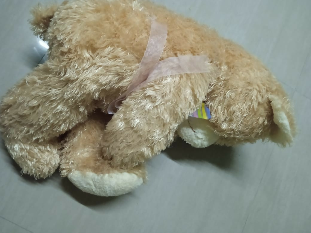 Discover cuddly companions with our Soft Toys for Baby, perfect for playtime and comforting moments.