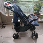BABYHUG Wander Buddy Stroller/Pram