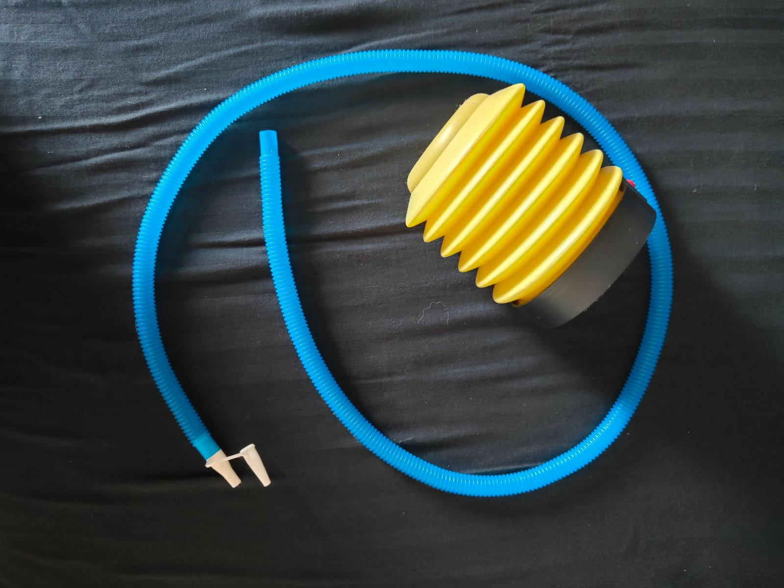Gym Ball for Pregnant Women Exercises