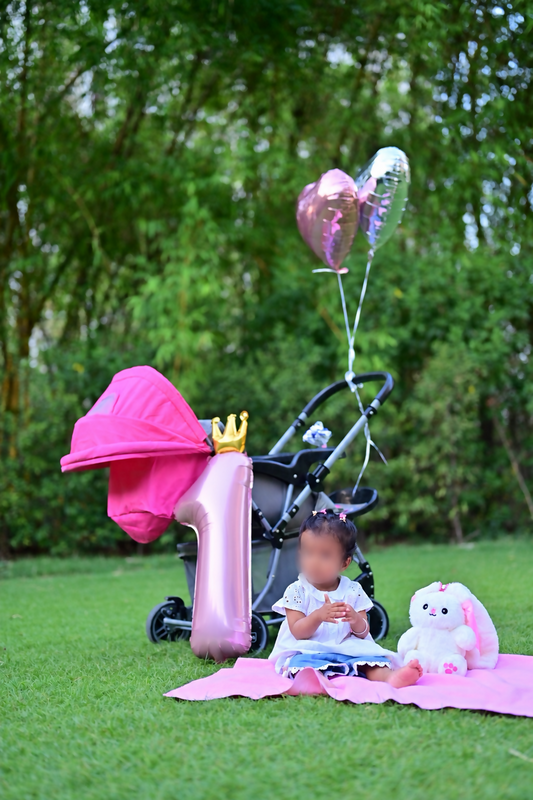 R FOR RABBIT Rock N Roll Baby Stroller/Pram featuring comfortable seating, a protective canopy, sturdy frame and smooth-moving wheels for convenient everyday walks, outings and travel with your baby.