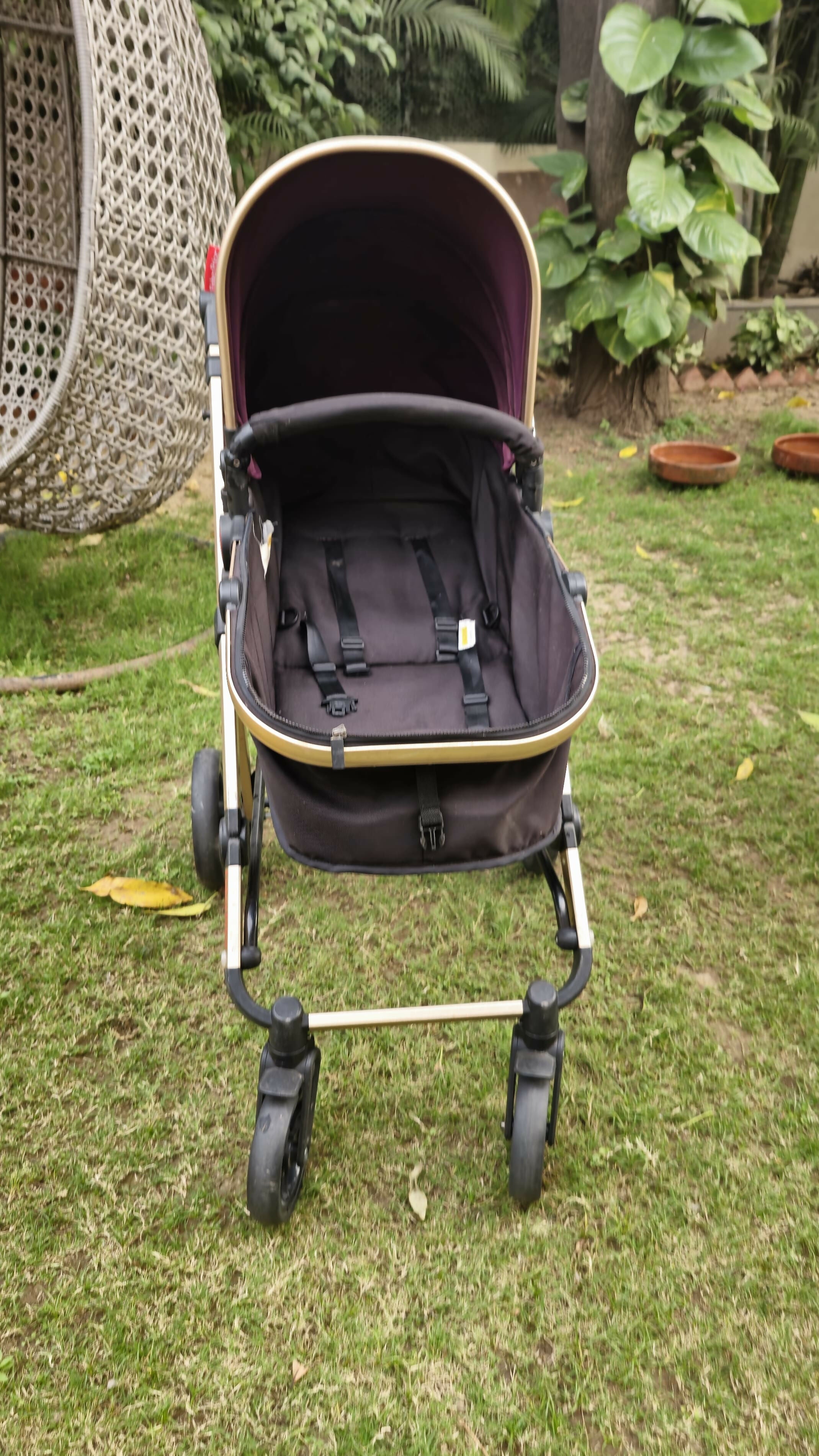Buy FISHER-PRICE Hiker Luxury Stroller Cum Pram – Multi-Position Recline, Safety Harness, Compact Fold

