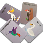 ZOOPLAY Animal World Combo Flashcards ( Animals, Birds, Insects and Sea Animals)