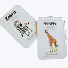 ZOOPLAY Animal World Combo Flashcards ( Animals, Birds, Insects and Sea Animals)