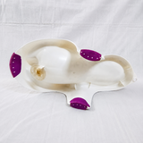 Keeeper Ergonomic Baby Bath Support Infant Bath Recliner Safari B093