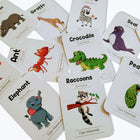 ZOOPLAY Animal World Combo Flashcards ( Animals, Birds, Insects and Sea Animals)