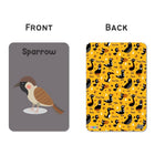 ZOOPLAY Birds Flash Cards for Kids