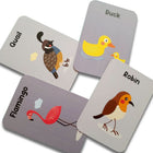 ZOOPLAY Birds Flash Cards for Kids