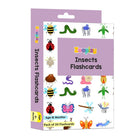 ZOOPLAY Insect Flash Cards- Pack of 24