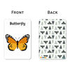 ZOOPLAY Insect Flash Cards- Pack of 24