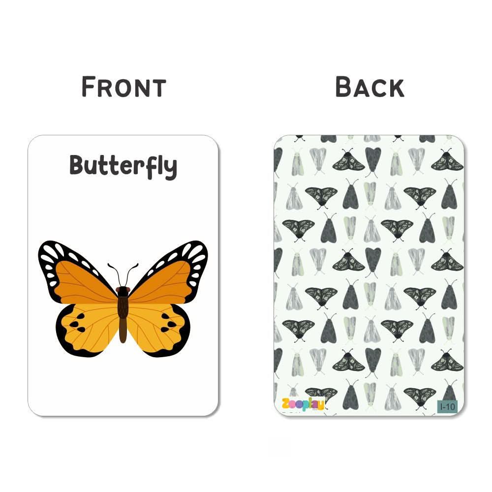 ZOOPLAY Insect Flash Cards- Pack of 24