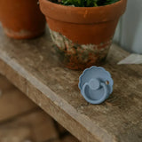 Blue pacifier on a wooden surface with potted plants in the background