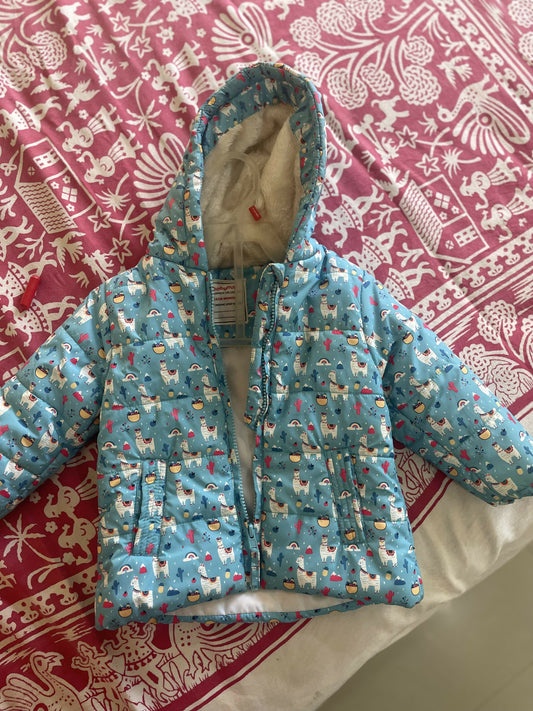 Cute Blue hoodie warm & jacket 